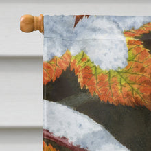 Load image into Gallery viewer, Redwing Flag Canvas House Size ASA2067CHF