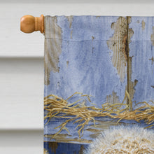 Load image into Gallery viewer, Barn Owl Chicks Flag Canvas House Size ASA2076CHF