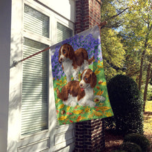 Load image into Gallery viewer, Welsh Springer Spaniel Pups Flag Canvas House Size ASA2116CHF