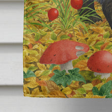 Load image into Gallery viewer, Badger Flag Canvas House Size ASA2135CHF
