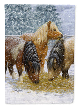 Load image into Gallery viewer, Shetland Ponies Flag Canvas House Size ASA2146CHF