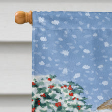 Load image into Gallery viewer, Donkeys and Robin Flag Canvas House Size ASA2159CHF