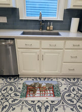 Load image into Gallery viewer, Donkeys and Robin Machine Washable Memory Foam Mat ASA2198RUG