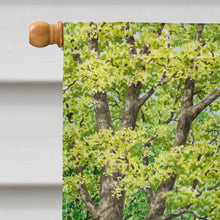 Load image into Gallery viewer, Spring Flowers by Sarah Adams Flag Canvas House Size ASAD778CHF
