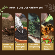 Load image into Gallery viewer, Ancient Soil Organic Living Soil