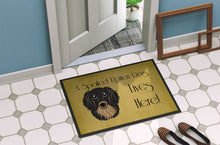 Load image into Gallery viewer, Longhair Black and Tan Dachshund Spoiled Dog Lives Here Doormat - 24x36 Decorative Floor Mat – Indoor/Outdoor Rug with Artistic Flair BB1461JMAT