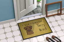 Load image into Gallery viewer, Chocolate Labrador Spoiled Dog Lives Here Doormat - 24x36 Decorative Floor Mat – Indoor/Outdoor Rug with Artistic Flair BB1482JMAT