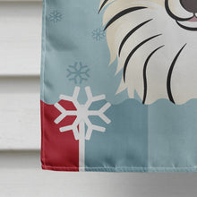 Load image into Gallery viewer, Winter Holiday Pomeranian Flag Canvas House Size BB1703CHF