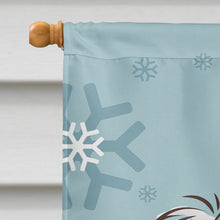Load image into Gallery viewer, Winter Holiday Saluki Flag Canvas House Size BB1725CHF