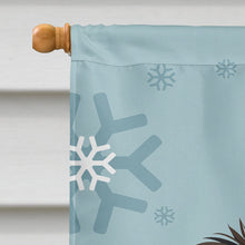Load image into Gallery viewer, Winter Holiday Border Collie Flag Canvas House Size BB1737CHF
