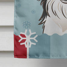 Load image into Gallery viewer, Winter Holiday Border Collie Flag Canvas House Size BB1737CHF