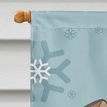Load image into Gallery viewer, Winter Holiday Jack Russell Terrier Flag Canvas House Size BB1756CHF