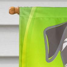 Load image into Gallery viewer, Schnauzer St. Patrick's Day Flag Canvas House Size BB1950CHF