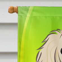 Load image into Gallery viewer, Longhair Creme Dachshund St. Patrick's Day Flag Canvas House Size BB1956CHF