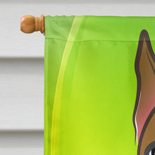 Load image into Gallery viewer, Boxer St. Patrick's Day Flag Canvas House Size BB1967CHF