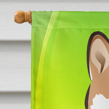 Load image into Gallery viewer, Shiba Inu St. Patrick's Day Flag Canvas House Size BB1969CHF