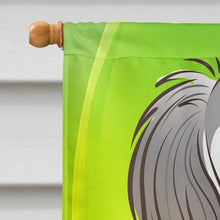 Load image into Gallery viewer, Saluki St. Patrick's Day Flag Canvas House Size BB1973CHF