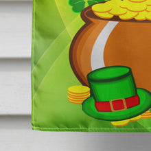 Load image into Gallery viewer, Saluki St. Patrick's Day Flag Canvas House Size BB1973CHF