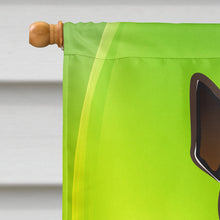 Load image into Gallery viewer, Min Pin St. Patrick's Day Flag Canvas House Size BB1984CHF