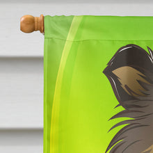 Load image into Gallery viewer, Sheltie St. Patrick's Day Flag Canvas House Size BB1986CHF