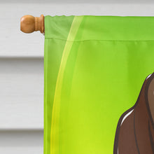 Load image into Gallery viewer, Basset Hound St. Patrick's Day Flag Canvas House Size BB1987CHF