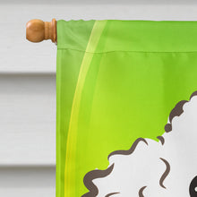 Load image into Gallery viewer, White Poodle St. Patrick's Day Flag Canvas House Size BB2001CHF
