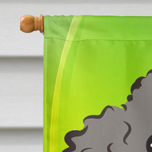 Load image into Gallery viewer, Silver Gray Poodle St. Patrick's Day Flag Canvas House Size BB2003CHF