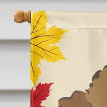 Load image into Gallery viewer, Chocolate Brown Poodle Thanksgiving Flag Canvas House Size BB2062CHF