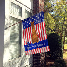 Load image into Gallery viewer, Patriotic USA Irish Terrier Flag Canvas House Size BB3057CHF