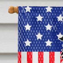 Load image into Gallery viewer, Patriotic USA Border Collie Black White Flag Canvas House Size BB3113CHF