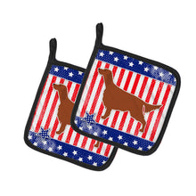 Load image into Gallery viewer, IUSA Patriotic rish Setter Pot Holders - Set of 2 - Heat-Resistant Kitchen Essentials BB3293PTHD