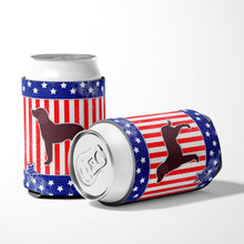Load image into Gallery viewer, AUSA Patriotic merican Water Spaniel Can or Bottle Hugger BB3301CC