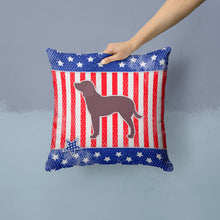 Load image into Gallery viewer, AUSA Patriotic merican Water Spaniel Throw Pillow - 14x14 Decorative Pillow – Art for Your Home &amp; Patio BB3301PW1414