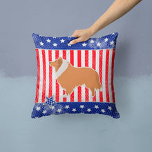 Load image into Gallery viewer, USA Patriotic Collie Throw Pillow - 14x14 Decorative Pillow – Art for Your Home &amp; Patio BB3316PW1414