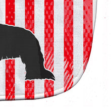 Load image into Gallery viewer, USA Patriotic Briard Baby Bib BB3326BIB