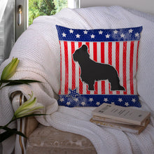 Load image into Gallery viewer, USA Patriotic Briard Throw Pillow - 14x14 Decorative Pillow – Art for Your Home &amp; Patio BB3326PW1414