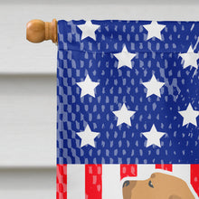 Load image into Gallery viewer, USA Patriotic Fila Brasileiro Flag Canvas House Size BB3379CHF