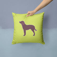 Load image into Gallery viewer, American Water Spaniel Checkerboard Green Throw Pillow - 14x14 Decorative Pillow – Art for Your Home &amp; Patio BB3801PW1414
