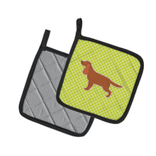 Load image into Gallery viewer, English Cocker Spaniel Checkerboard Green Pot Holders - Set of 2 - Heat-Resistant Kitchen Essentials BB3812PTHD