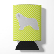 Load image into Gallery viewer, Spanish Water Dog Checkerboard Green Can or Bottle Hugger BB3815CC