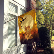 Load image into Gallery viewer, Halloween Norwich Terrier Flag Canvas House Size BB4286CHF