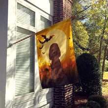 Load image into Gallery viewer, Halloween Irish Water Spaniel Flag Canvas House Size BB4329CHF