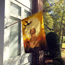 Load image into Gallery viewer, Halloween Briard Brown Flag Canvas House Size BB4348CHF