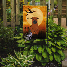 Load image into Gallery viewer, Halloween Chinese Chongqing Dog Garden Flag - Outdoor Decorative Yard Flag BB4377GF