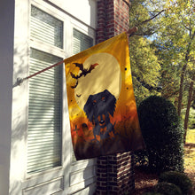 Load image into Gallery viewer, Halloween Wire Haired Dachshund Black Tan Flag Canvas House Size BB4393CHF