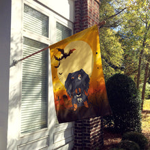 Load image into Gallery viewer, Halloween Wire Haired Dachshund Dapple Flag Canvas House Size BB4394CHF