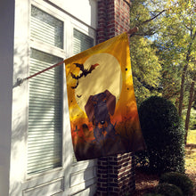 Load image into Gallery viewer, Halloween Wire Haired Dachshund Chocolate Flag Canvas House Size BB4395CHF