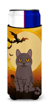 Load image into Gallery viewer, Halloween Chartreux Cat   Hugger for slim cans BB4443MUK