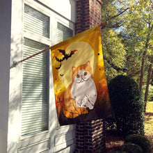 Load image into Gallery viewer, Halloween Exotic Shorthair Cat Flag Canvas House Size BB4444CHF