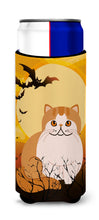 Load image into Gallery viewer, Halloween Exotic Shorthair Cat   Hugger for slim cans BB4444MUK